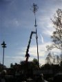 Maibaum 05 (9)