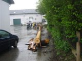 Maibaum_2006_15