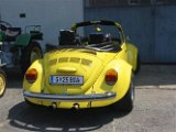 Rosenhoffest 06 (10)