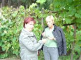 Kirchbach (11)