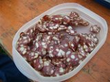Damentraining_08 (8)