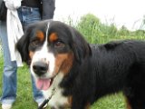 Gourmentrallye_Mellach_2008 (17) (Small)