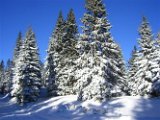 Winter_Impressionen_2009 035