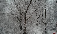 X-MAS_Cordula (1).JPG