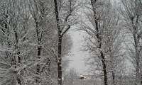 X-MAS_Cordula (2).JPG