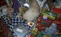 E_Weihnacht_2010 (13).JPG