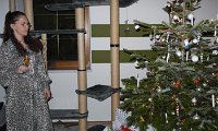 E_Weihnacht_2010 (16).JPG