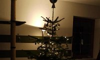 E_Weihnacht_2010 (20).JPG