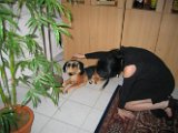 Gabun 24_Dez_ 2005 (21)