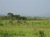 Gabun-26.-29.12 (17)