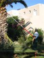 Kos Magic Life 2006 (10)
