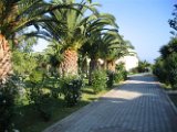 Kos Magic Life 2006 (14)