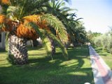 Kos Magic Life 2006 (18)