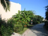 Kos Magic Life 2006 (2)