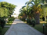 Kos Magic Life 2006 (4)