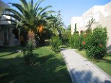 Kos Magic Life 2006 (6)