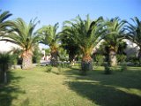 Kos Magic Life 2006 (7)